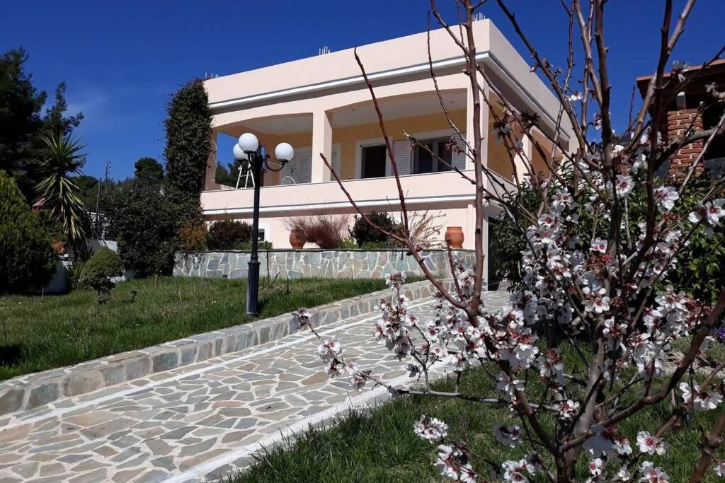 Σπίτι Στο Βουνό Αλλά Μια Ανάσα Από Τη Θάλασσα Villa Paleochori ภายนอก รูปภาพ