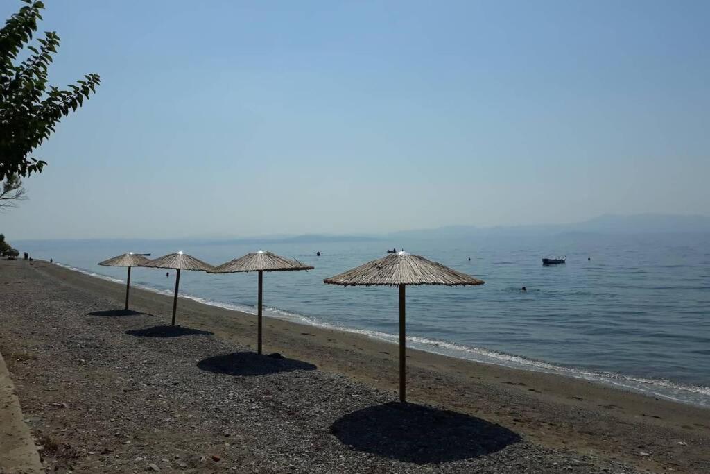 Σπίτι Στο Βουνό Αλλά Μια Ανάσα Από Τη Θάλασσα Villa Paleochori ภายนอก รูปภาพ
