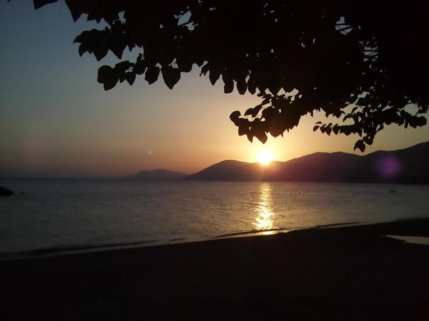 Σπίτι Στο Βουνό Αλλά Μια Ανάσα Από Τη Θάλασσα Villa Paleochori ภายนอก รูปภาพ