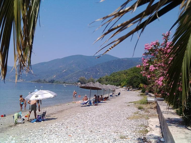 Σπίτι Στο Βουνό Αλλά Μια Ανάσα Από Τη Θάλασσα Villa Paleochori ภายนอก รูปภาพ
