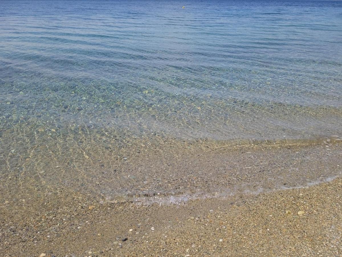 Σπίτι Στο Βουνό Αλλά Μια Ανάσα Από Τη Θάλασσα Villa Paleochori ภายนอก รูปภาพ