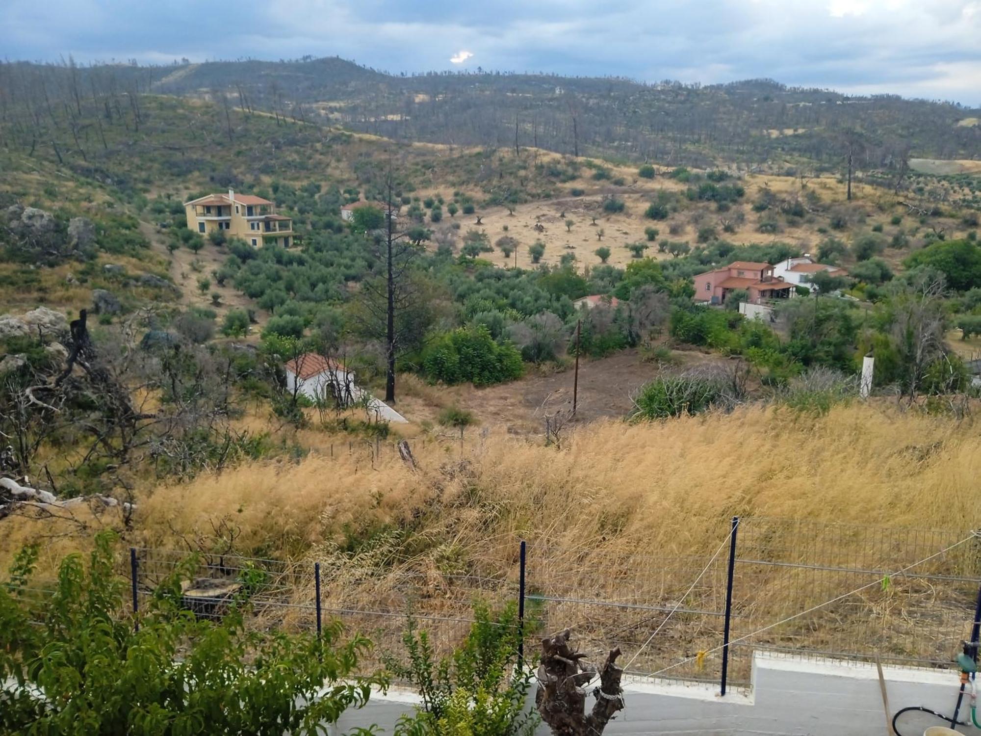 Σπίτι Στο Βουνό Αλλά Μια Ανάσα Από Τη Θάλασσα Villa Paleochori ภายนอก รูปภาพ